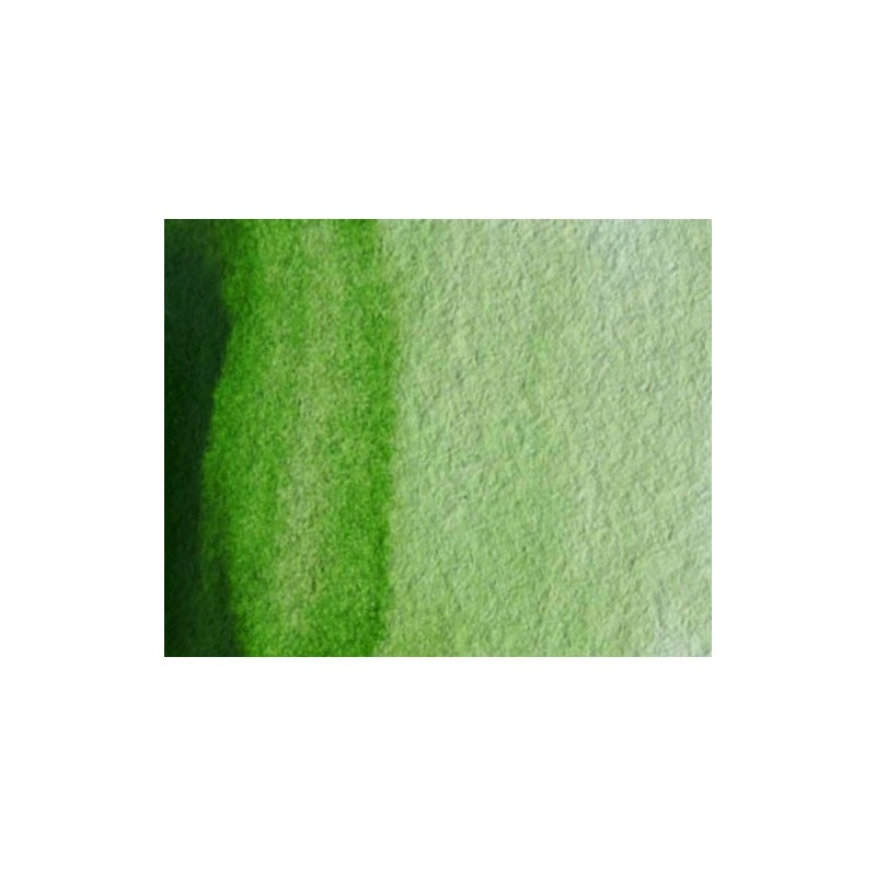 Fine art shop - Artist Watercolor Permanent Sap Green 5 ml, W N 503 | totenart.com