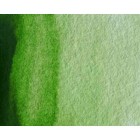 Fine art shop - Artist Watercolor Permanent Sap Green 5 ml, W N 503 | totenart.com