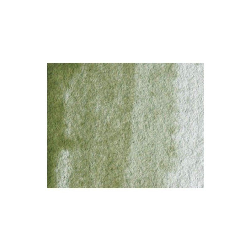 Fine art shop - Artist Watercolor Green Land (yellow shadow) 5 ml, W N 638 | totenart.com