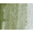 Fine art shop - Artist Watercolor Green Land (yellow shadow) 5 ml, W N 638 | totenart.com