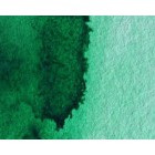 Fine art shop - Artist Watercolor Winsor Green (yellow shadow) 5 ml, W N 721 | totenart.com