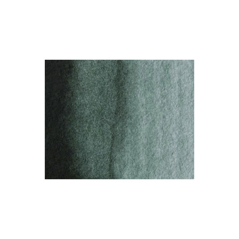 Fine art shop - Artist Watercolor Perileno Green 5 ml, W N 460 | totenart.com