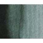 Fine art shop - Artist Watercolor Perileno Green 5 ml, W N 460 | totenart.com