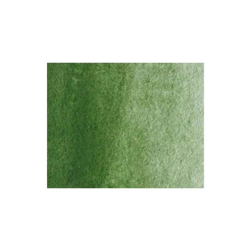 Fine art shop - Artist Watercolor Oxide of Chromium 5 ml, W N 459 | totenart.com