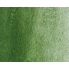 Fine art shop - Artist Watercolor Oxide of Chromium 5 ml, W N 459 | totenart.com