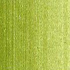 Fine art shop - Oil Winton W&N, Sap Green, 200 ml. | totenart.com