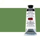 Fine art shop - Acrylic Artist Vallejo Permanent Greeen, 60 ml. | totenart.com