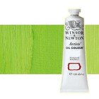 Fine art shop - Oil Artists Winsor & Newton, Pale Cadmium Green, 37 ml. | totenart.com