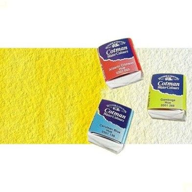 Fine art shop - Watercolour W&N, 1/2 godet, Yellow Lemon | totenart.com
