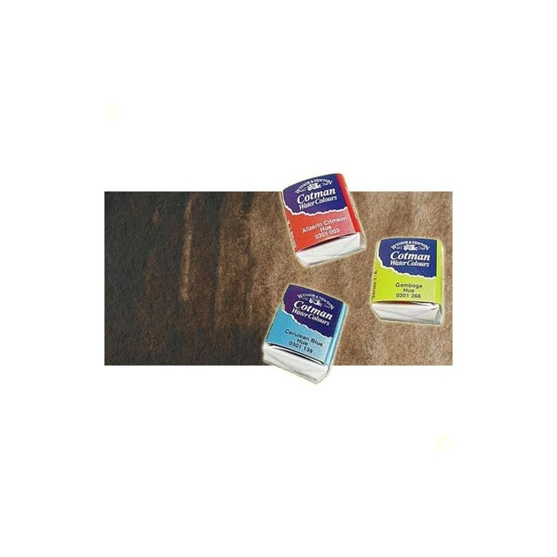 Fine art shop - Watercolour W&N, 1/2 godet, Brown Van Dicke | totenart.com