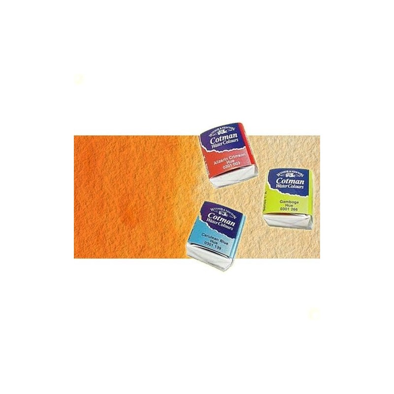 Fine art shop - Watercolour W&N, 1/2 godet, Cadmium Orange | totenart.com
