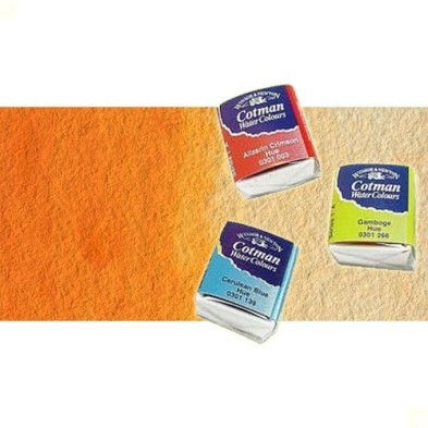 Fine art shop - Watercolour W&N, 1/2 godet, Cadmium Orange | totenart.com
