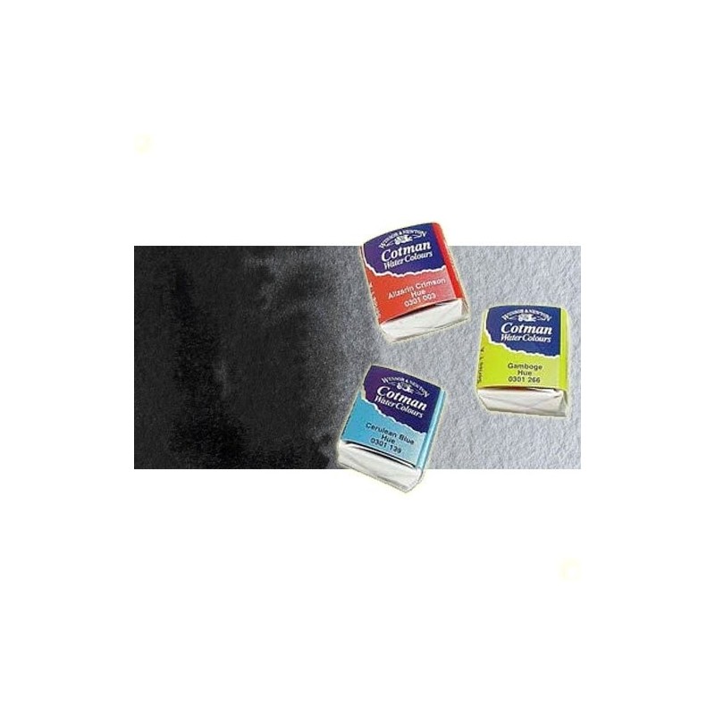 Fine art shop - Watercolour W&N, 1/2 godet, Lamp Black | totenart.com