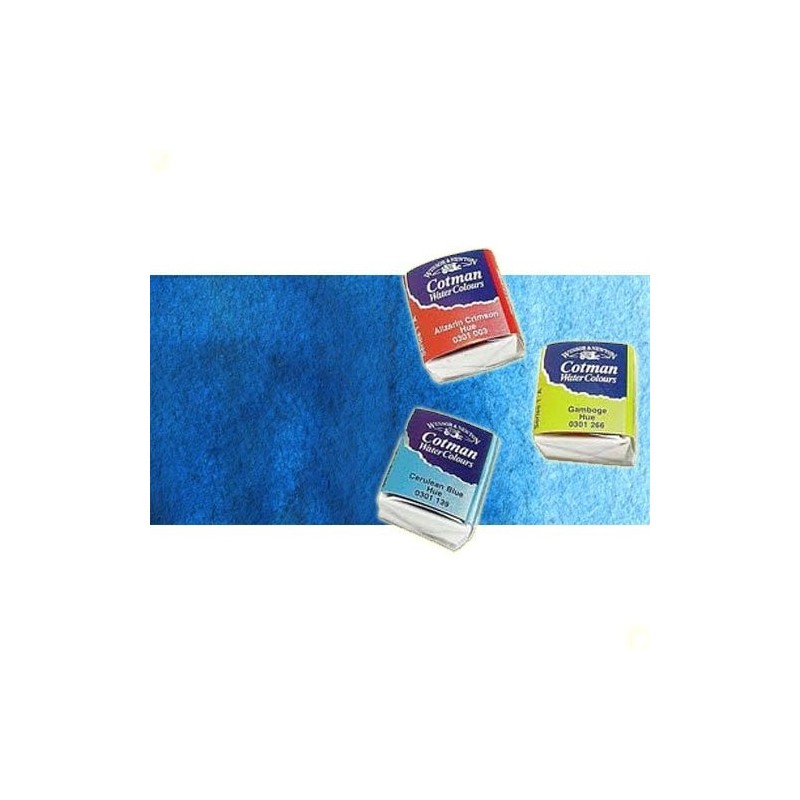 Fine art shop - Watercolour W&N, 1/2 godet, Turquoise | totenart.com