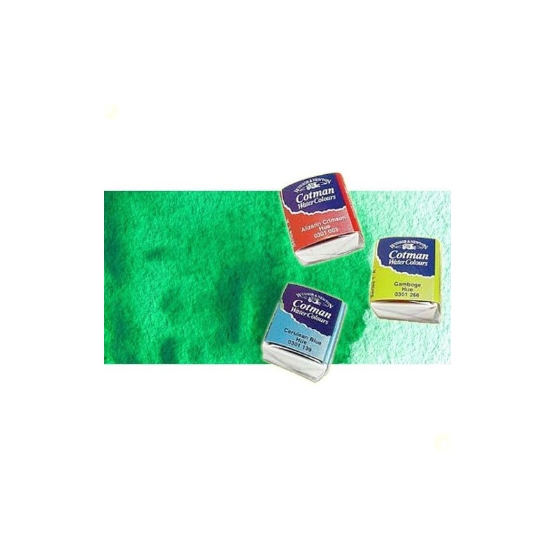 Fine art shop - Watercolour W&N, 1/2 godet, Emerald Green | totenart.com
