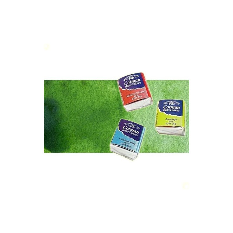 Fine art shop - Watercolour W&N, 1/2 godet, Sap Green | totenart.com