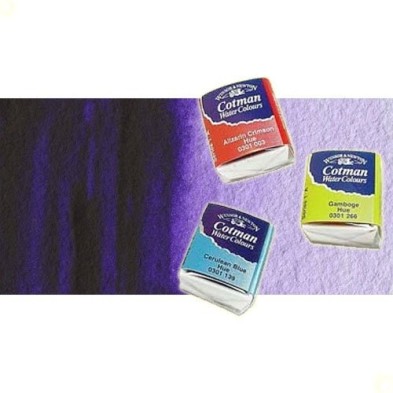 Fine art shop - Watercolour W&N, 1/2 godet, Dioxazine Violet | totenart.com