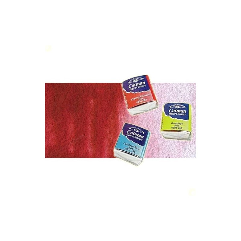 Fine art shop - Watercolour W&N, 1/2 godet, Deep Cadmium Red Hue | totenart.com