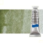 Fine art shop - Artist Watercolor Green Land (yellow shadow) 5 ml, W N 638 | totenart.com