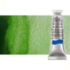 Fine art shop - Artist Watercolor Permanent Sap Green 5 ml, W N 503 | totenart.com