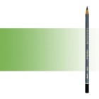 Fine art shop - Cretacolor Marino watercolor Pencil Moss Green Light | totenart.com