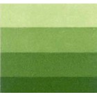 Fine art shop - Charbonnel Etching Ink Medium Green, 200 ml. | totenart.com