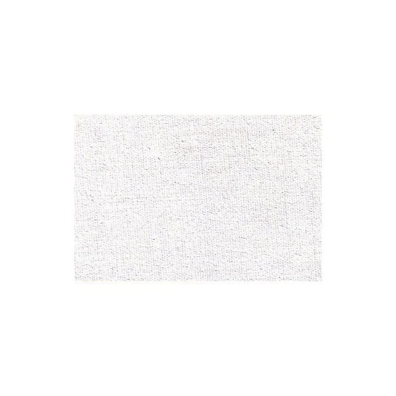 Fine art shop - Cotton Canvas, Universal preparation, Roll 2.10 x 10 m.  | totenart.com