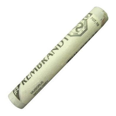  Fine art shop - Pastel Rembrandt Rat Gray 10 | totenart.com