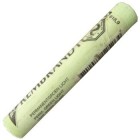  Fine art shop - Pastel Rembrandt Permanent Light Green 9 | totenart.com