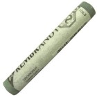  Fine art shop - Pastel Rembrandt Greenish Gray 5 | totenart.com