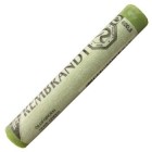  Fine art shop - Pastel Rembrandt Green Olive 5 | totenart.com