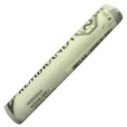  Fine art shop - Pastel Rembrandt Rat Gray 8 | totenart.com