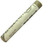  Fine art shop - Pastel Rembrandt Raw Umber 5 | totenart.com