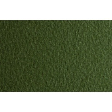 Materiais Belas Artes - Fabriano Tiziano, 160 gr., 50x65, Musgo | totenart.com