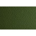 Materiais Belas Artes - Fabriano Tiziano, 160 gr., 50x65, Musgo | totenart.com