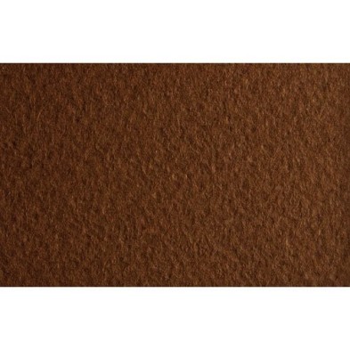 Materiais Belas Artes -  Fabriano Tiziano, 160 gr., 50x65, Caffe | totenart.com
