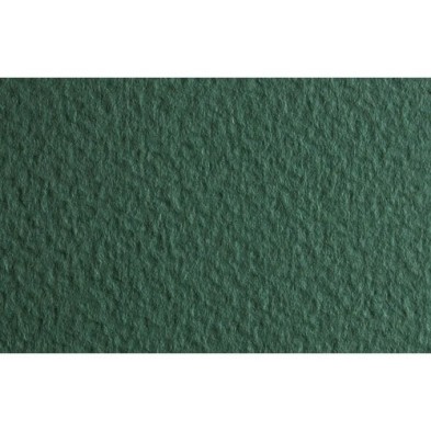 Materiais Belas Artes - Fabriano Tiziano, 160 gr., 50x65, Salvia | totenart.com