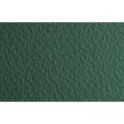 Materiais Belas Artes - Fabriano Tiziano, 160 gr., 50x65, Salvia | totenart.com