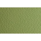 Materiais Belas Artes - Fabriano Tiziano, 160 gr., 50x65, Verduzzo | totenart.com