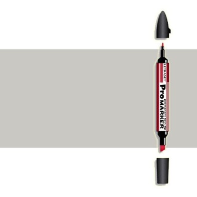 Fine art shop - Marker Promarker Ice Grey 2 CG06 | totenart.com