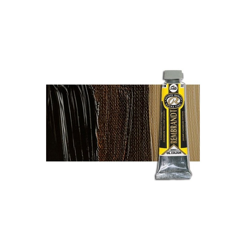 Fine art shop - Rembrandt Oil colour Asphalt (Bitume) (40 ml.) 414 | totenart.com