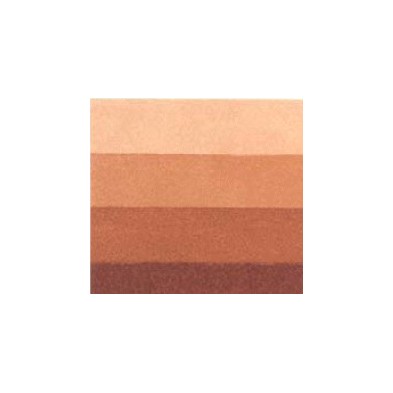 Charbonnel Etching Ink Burnt Siena, 60 ml.