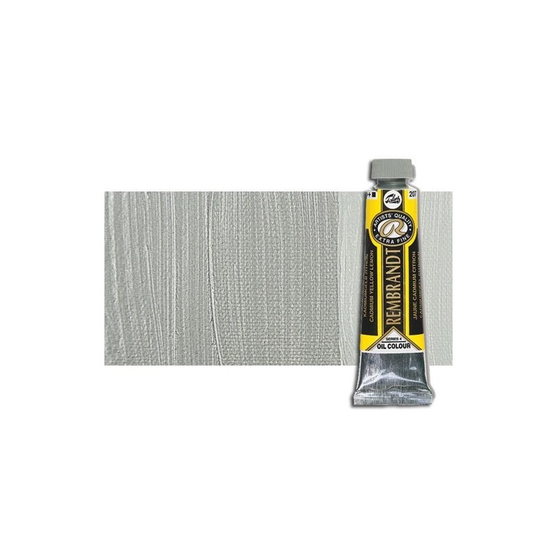 Fine art shop - Rembrandt Oil colour Silver 800 (40 ml.) | totenart.com