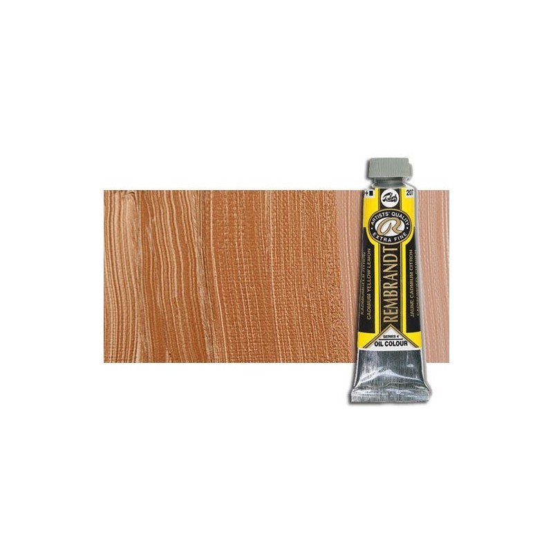 Fine art shop - Rembrandt Oil colour Bronze 811 (40 ml.) | totenart.com