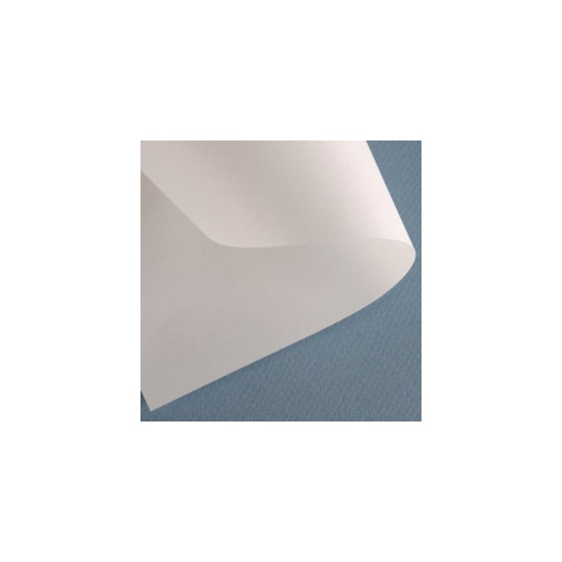 Fine art shop - Barrera Canson Paper, 80 gr, 80x120 cm. | totenart.com