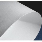 Fine art shop - Chagal, White, 72x101 cm., 260 gr. | totenart.com\n