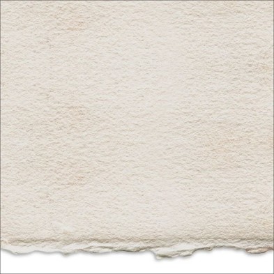 Fine art shop - Oil paper Arches 300 gr, 56x76 cm, cold pressed | totenart.com