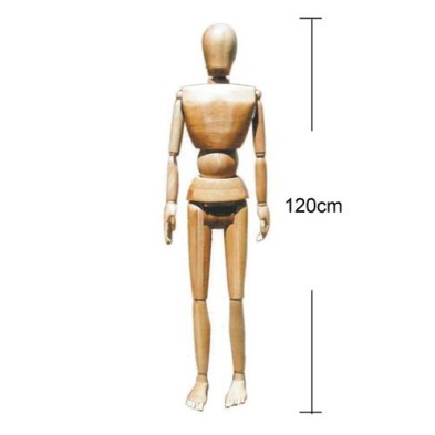 Fine art shop - Articulated Mannequin 120 cm, Natural wood | totenart.com\n