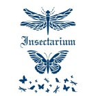 Fine art shop - Stencil Insectarium 13, 20x30cm. La Pajarita | totenart.com