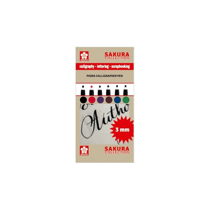 Fine art shop - Set 6 markers Pigma Calligrapher Pen 3mm Sakura | totenart.com